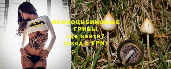 ECSTASY Володарск