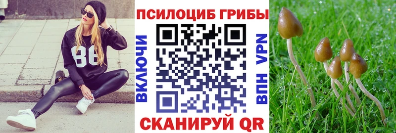Галлюциногенные грибы Psilocybe  Купить  Кстово 